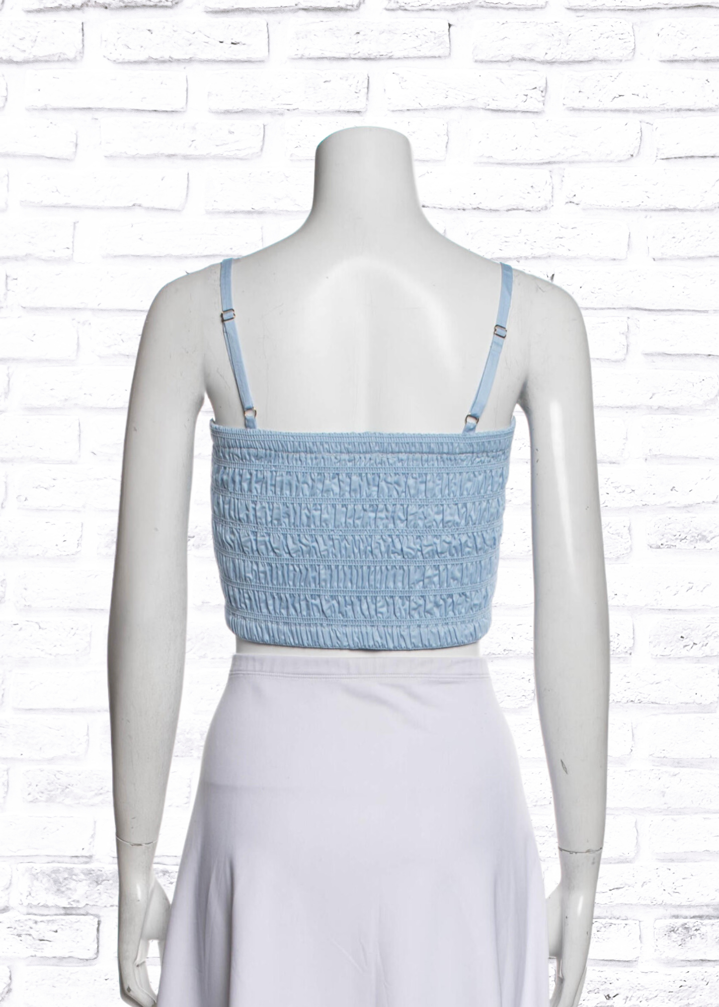 Sofia Irina Shirred Carolina Blue Crop Top