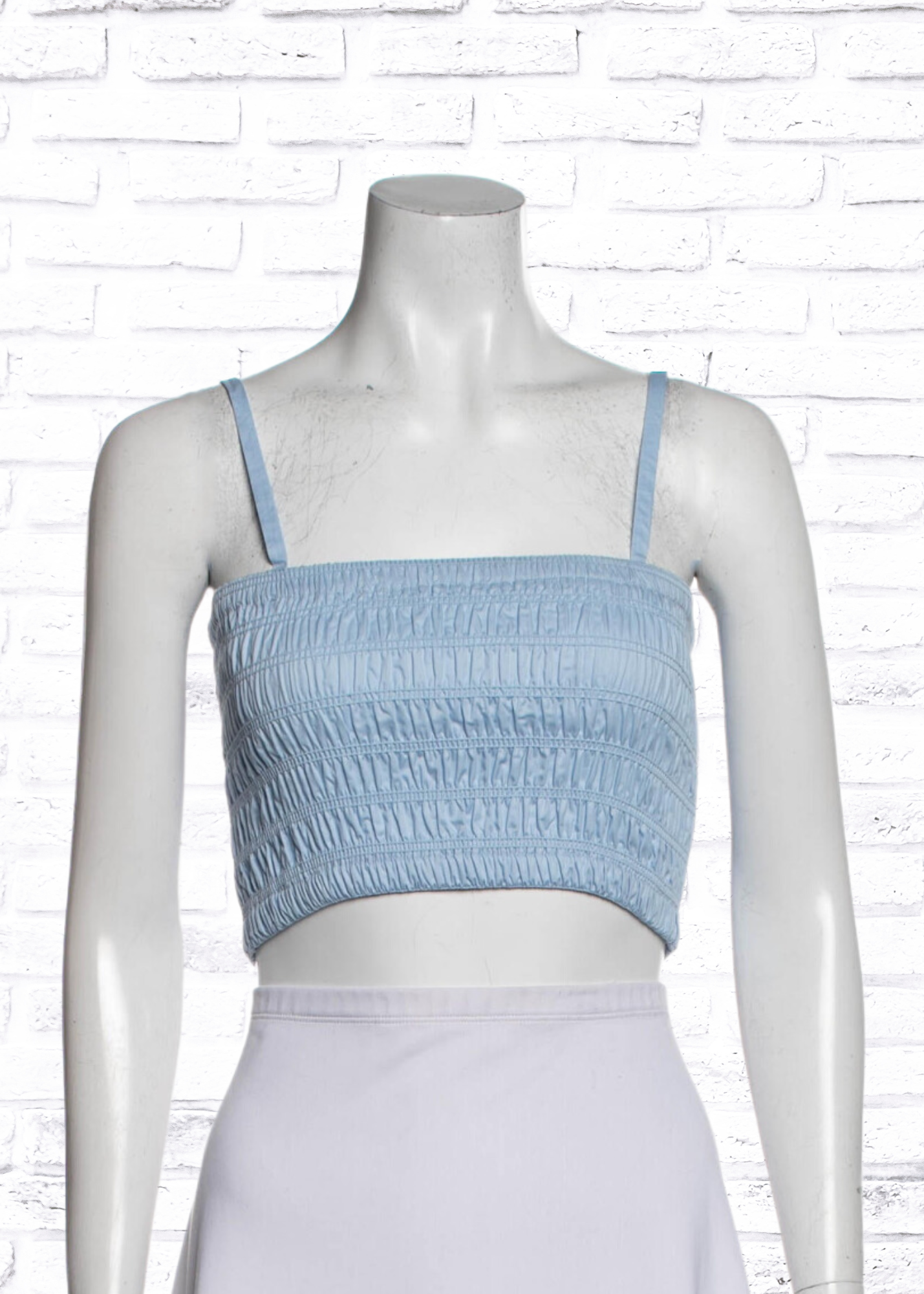 Sofia Irina Shirred Carolina Blue Crop Top