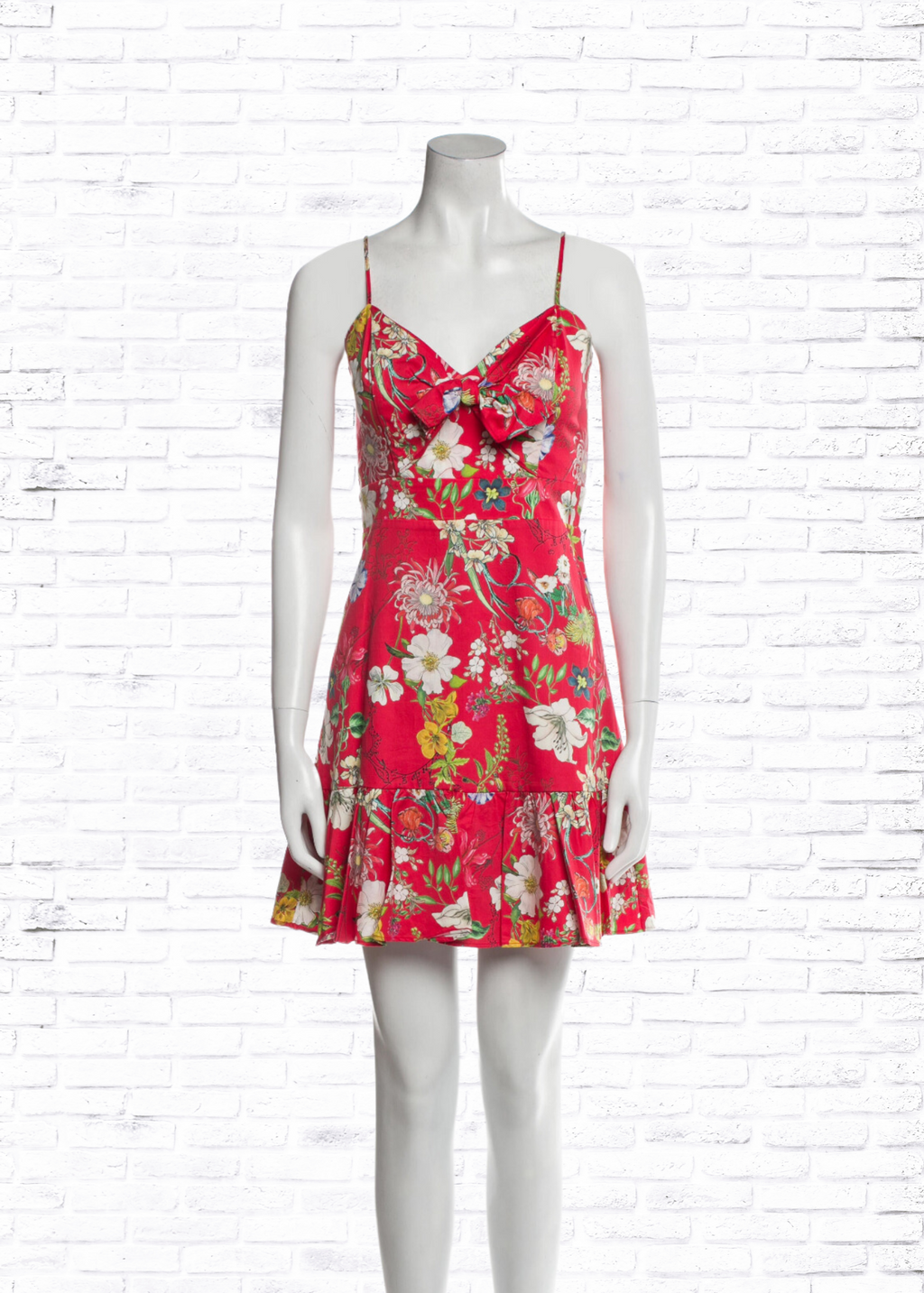 *FIRE SALE* Parker Red Floral-Print Mini Flounce Dress
