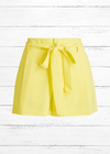 Alice + Olivia 'Steffie' Pleated Paperbag High-Waisted Shorts